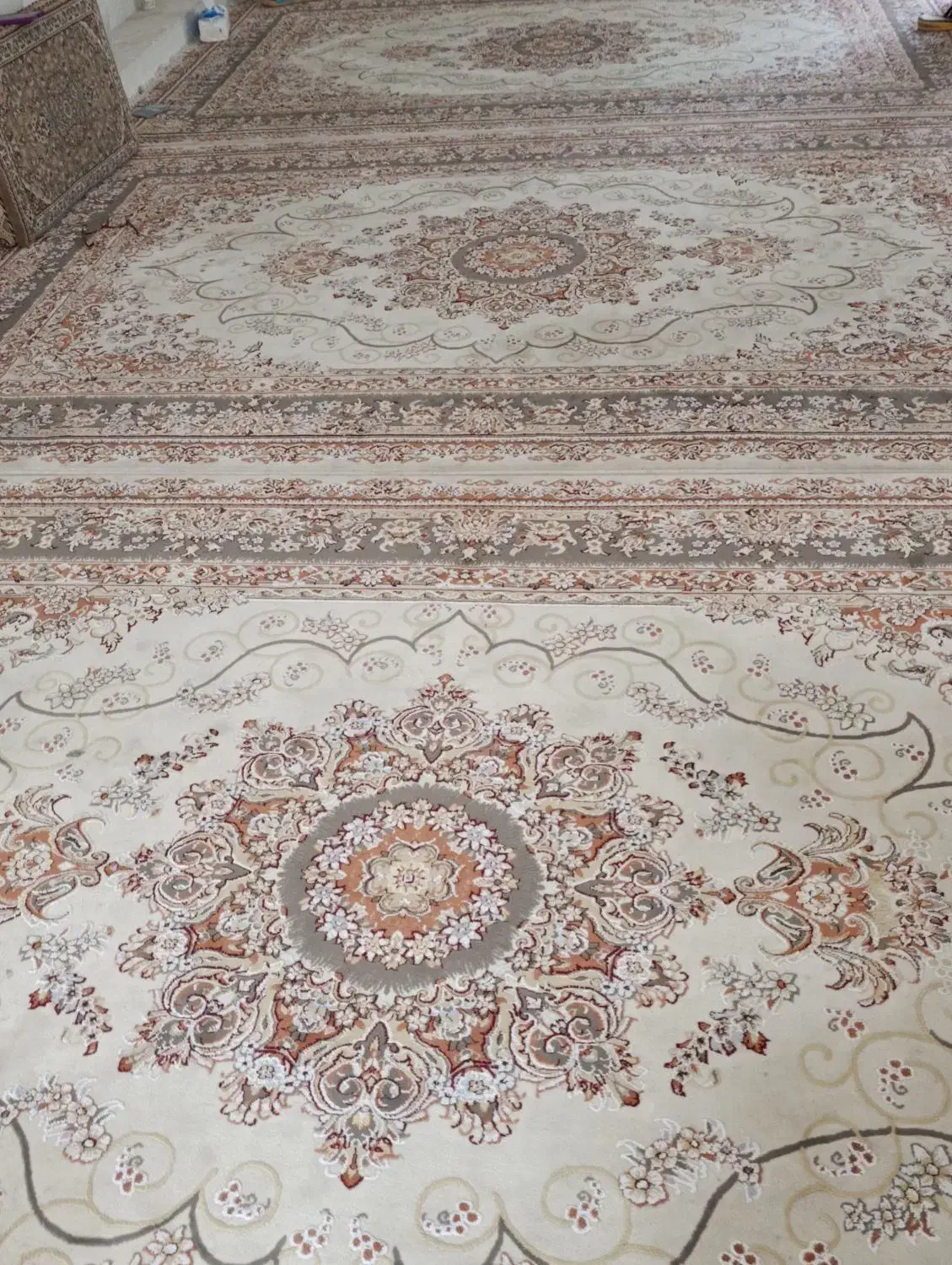 فرش شیش متری|فرش|کرمانشاه, |دیوار