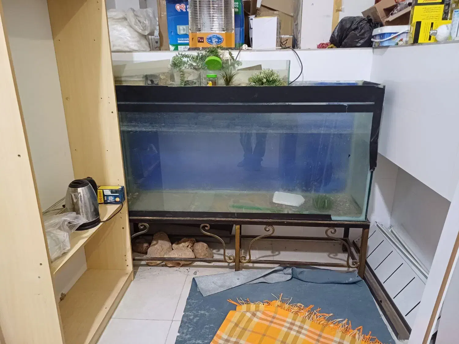 آکواریوم|ماهی|خرم‌آباد, |دیوار