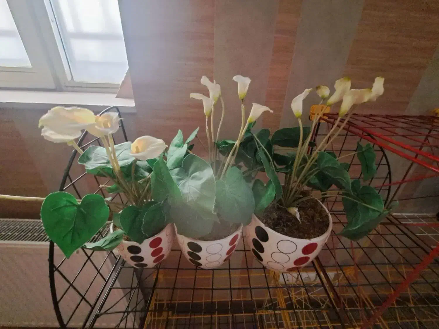 درخت کریسمی|گل مصنوعی|همدان, |دیوار