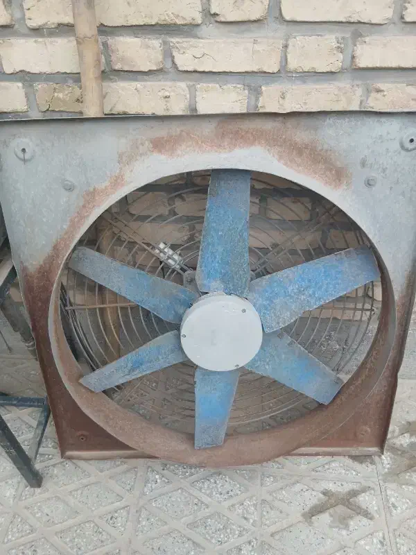 تجهیزات کسب وکار|حراج|یزد, |دیوار