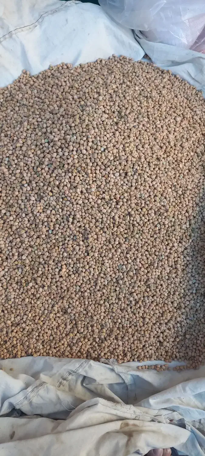 نخود بسطام|حراج|خرم‌آباد, |دیوار