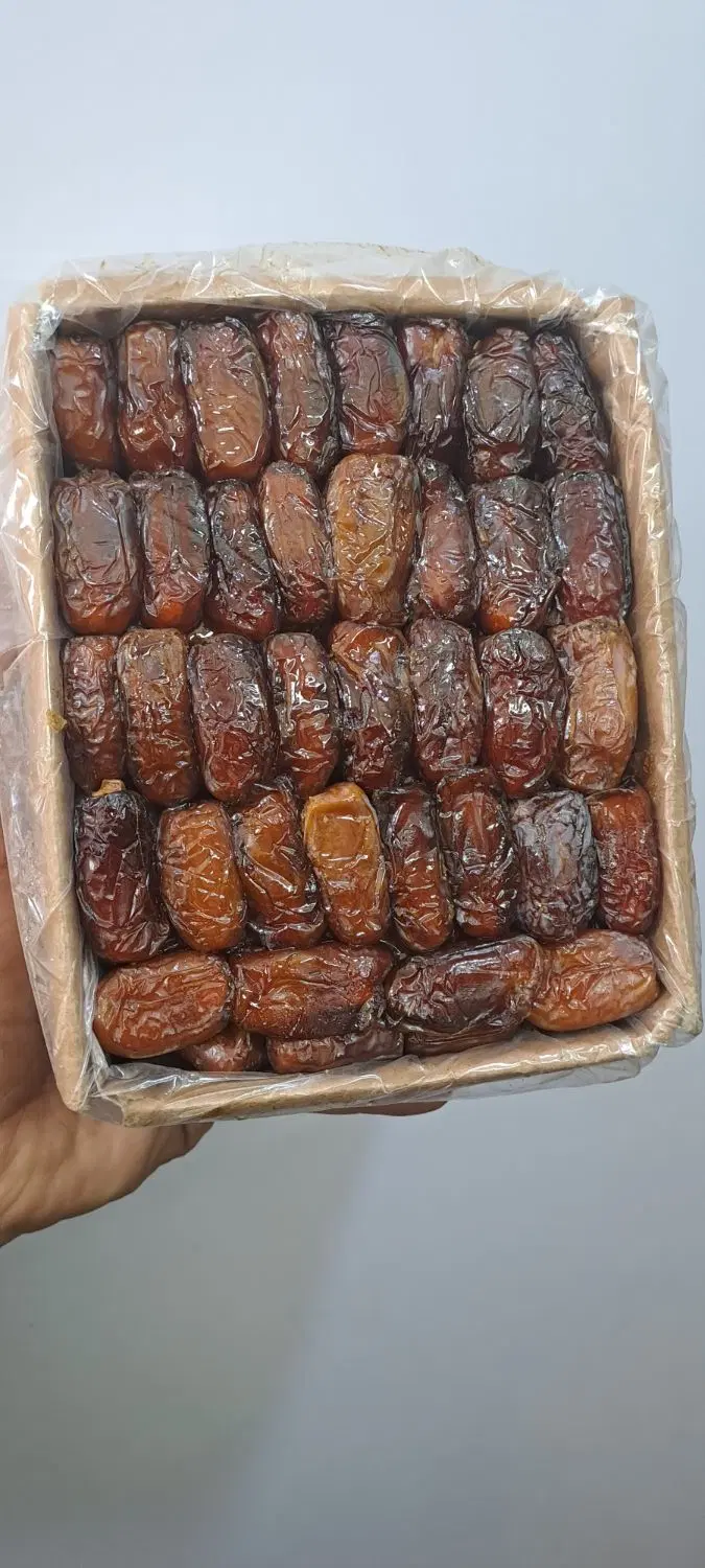خرمای پیارم حاجی آباد درجه ۱|خوردنی و آشامیدنی|قم, وادی السلام|دیوار
