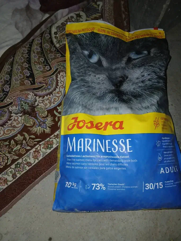 فروش ۹ کیسه غذای گربه|لوازم جانبی حیوانات|لامرد, |دیوار