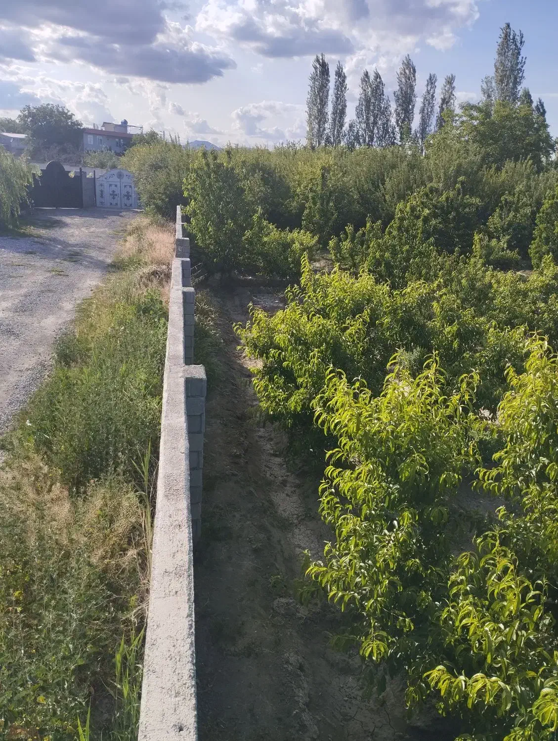 باغچه در روستای شیخ سرمست|فروش زمین و ملک کلنگی|ارومیه, |دیوار