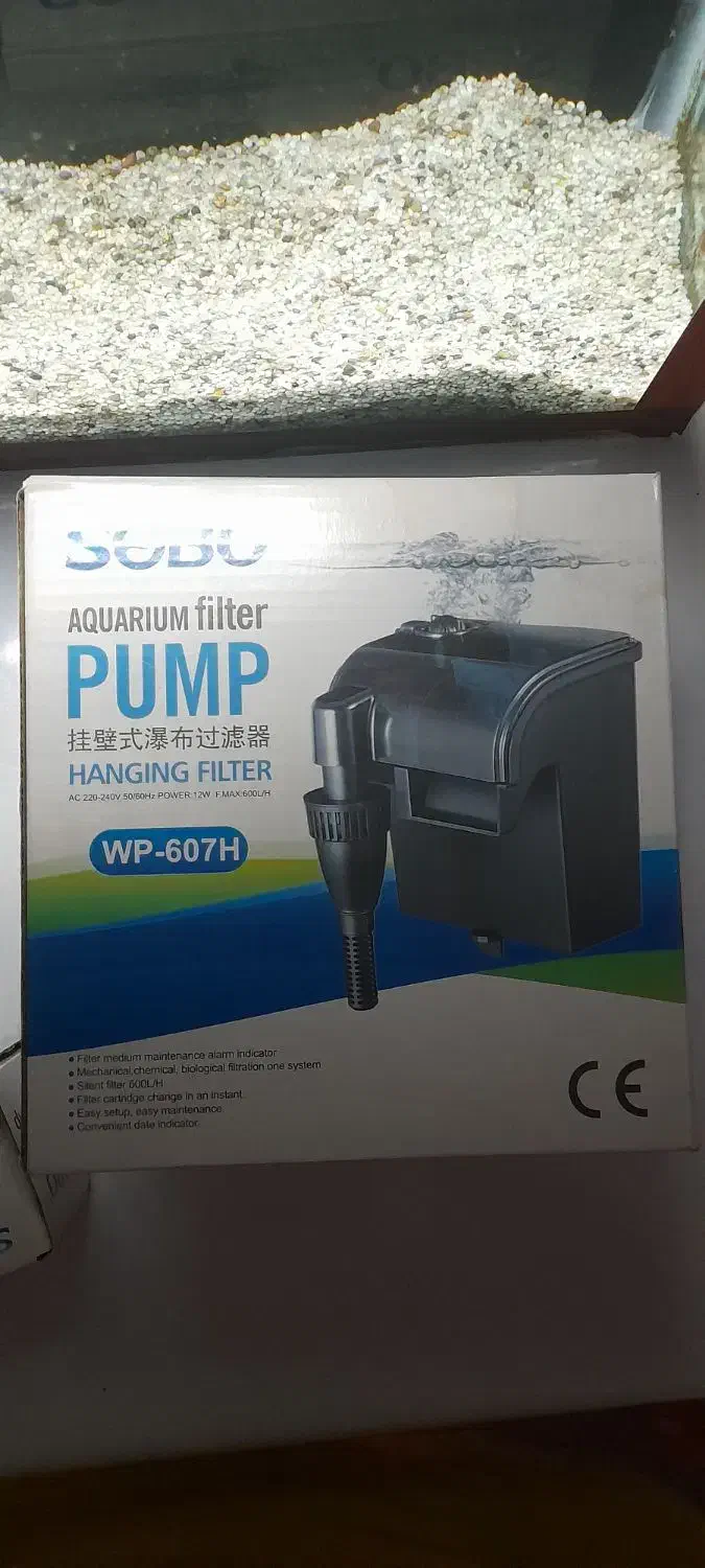 ماهی پرت پلار با لوازم اکواریوم|ماهی|مشهد, مهدی آباد (بلوار توس)|دیوار