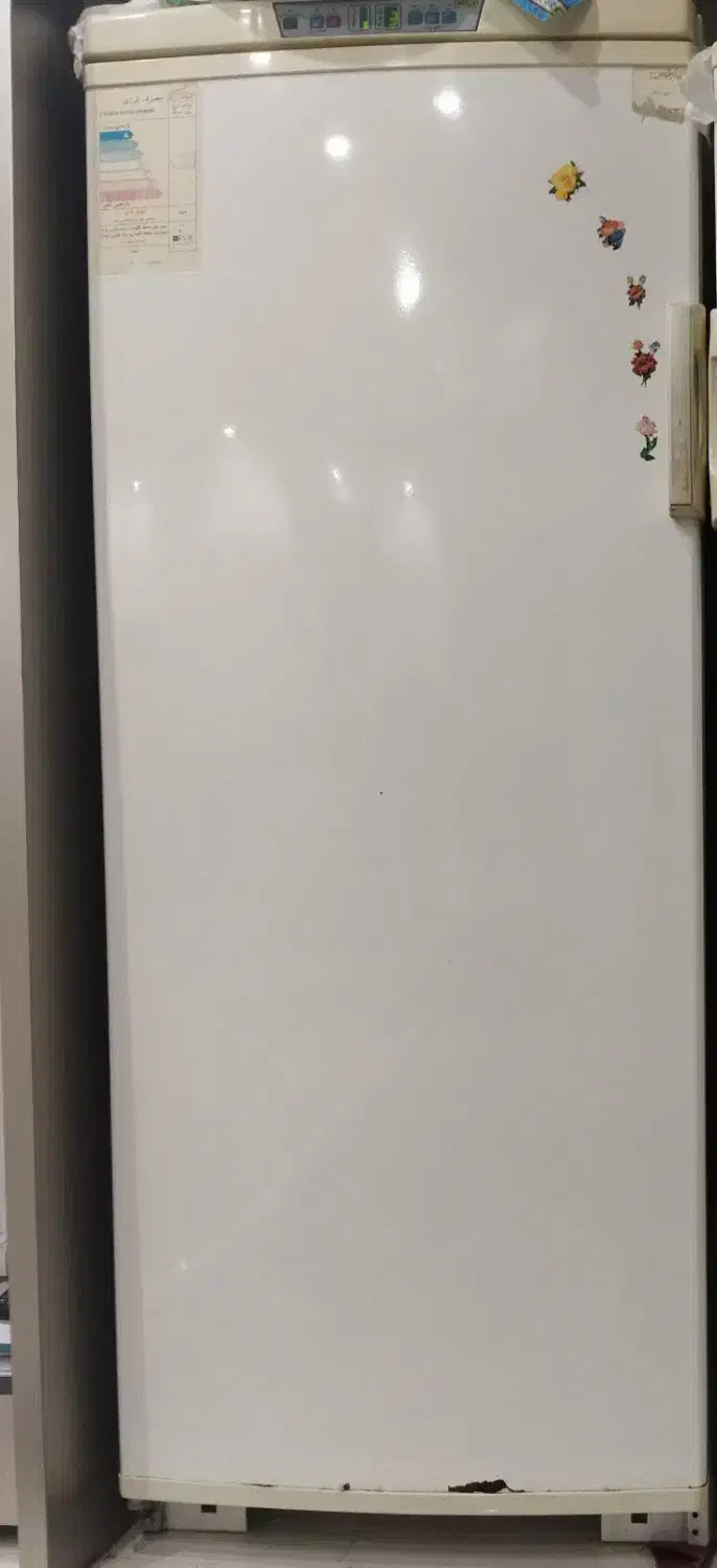 فریزر ارج چهار میلیون و ششصد|یخچال و فریزر|بوشهر, |دیوار