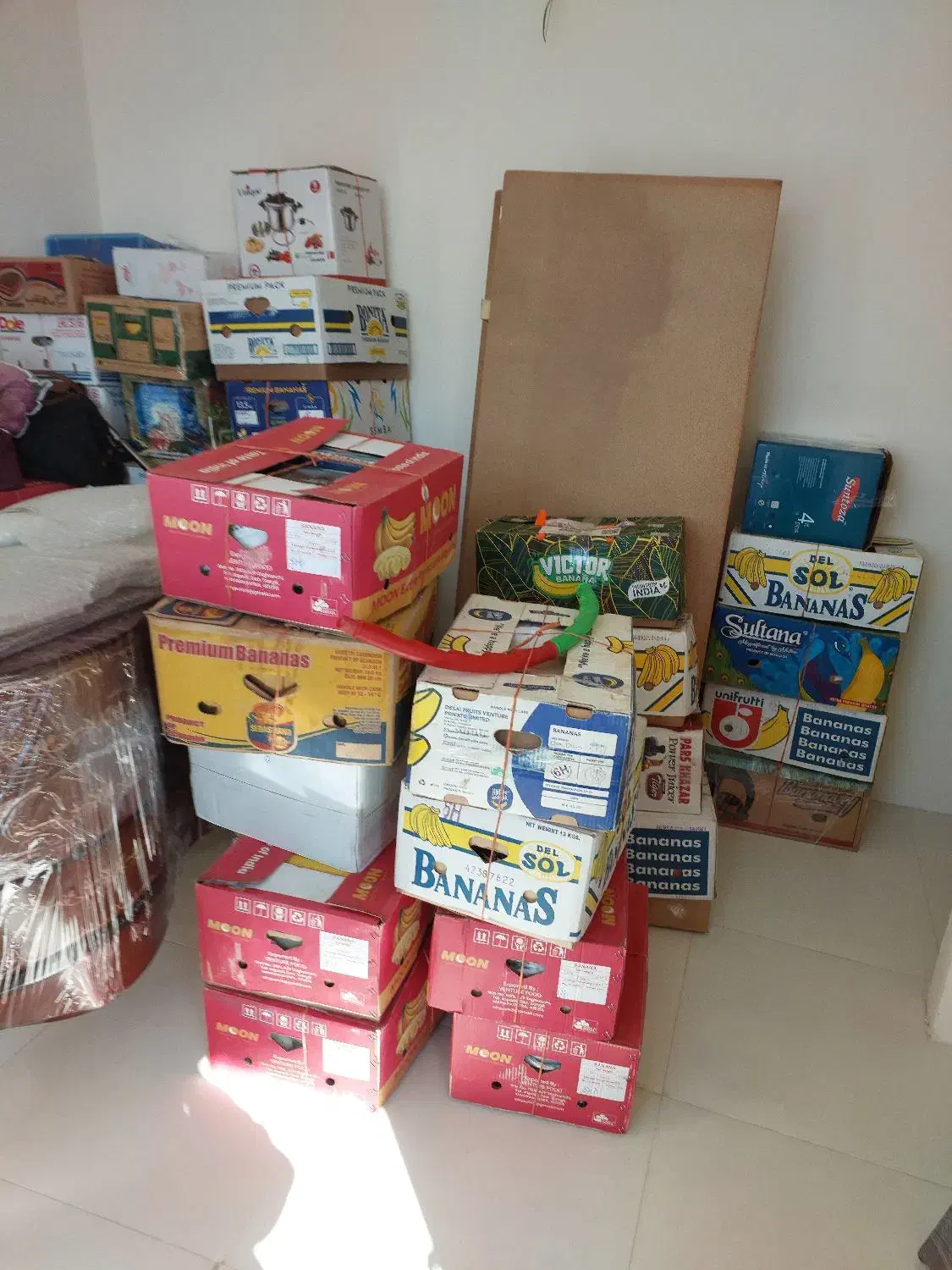 فروش کارتن موز|حراج|رودهن, |دیوار