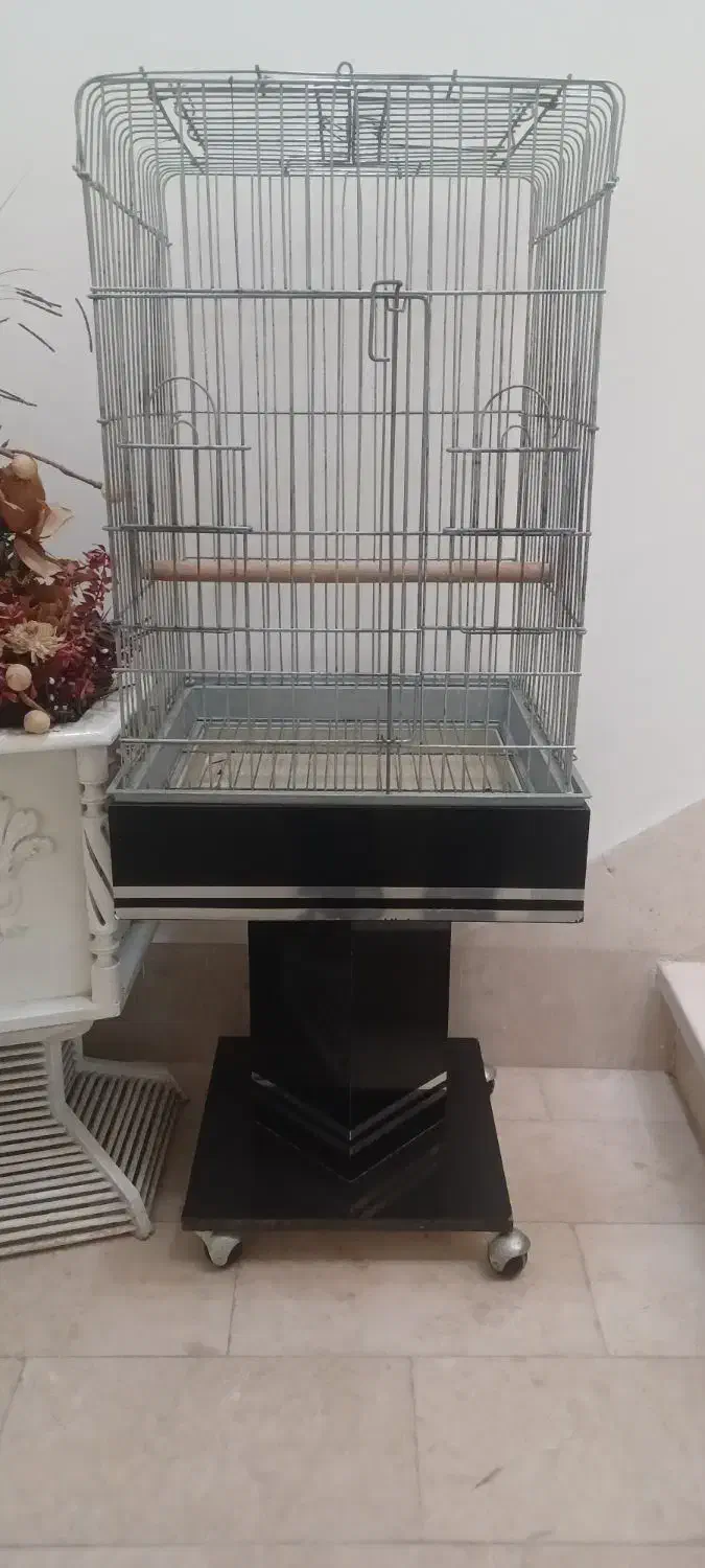 قفس پرنده|لوازم جانبی حیوانات|مشهد, آزادشهر|دیوار