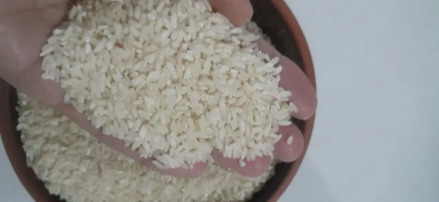 عنبربو کارزان|خوردنی و آشامیدنی|کارزان, |دیوار