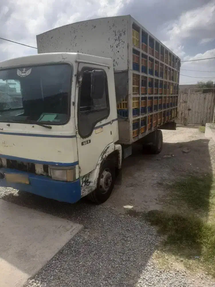 ایویکو6تن مرغی مدل 81|خودرو سنگین|گرگان, |دیوار