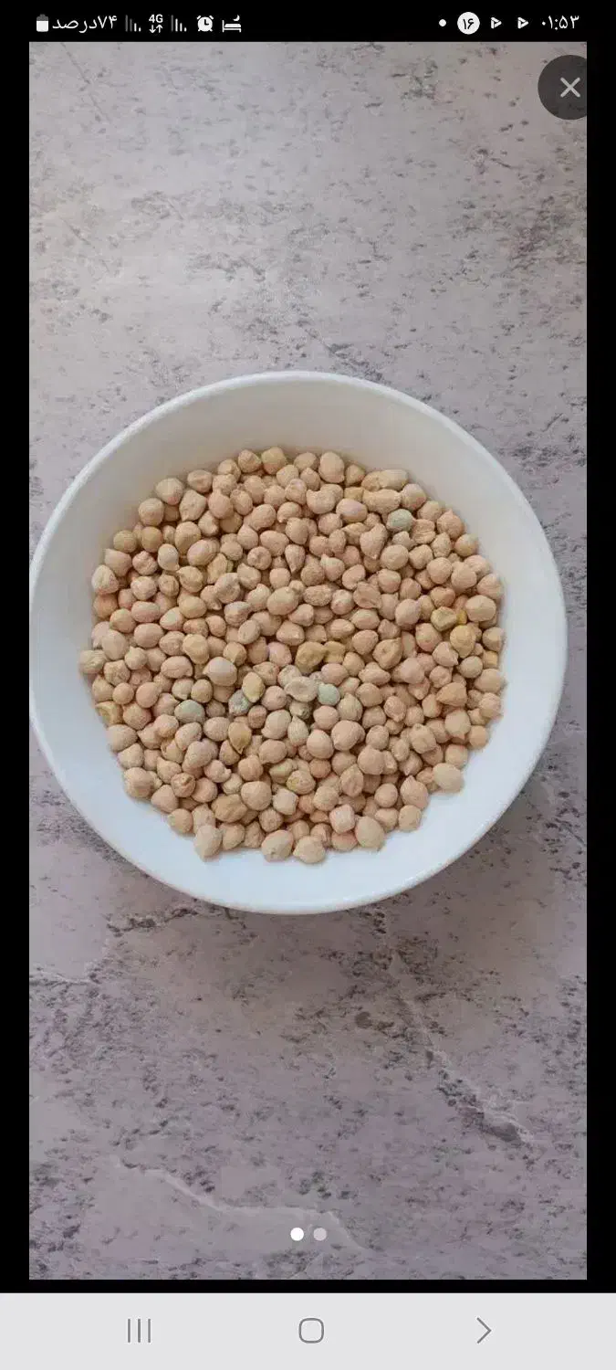 انار با قیمت عالی|خوردنی و آشامیدنی|بندر گناوه, |دیوار