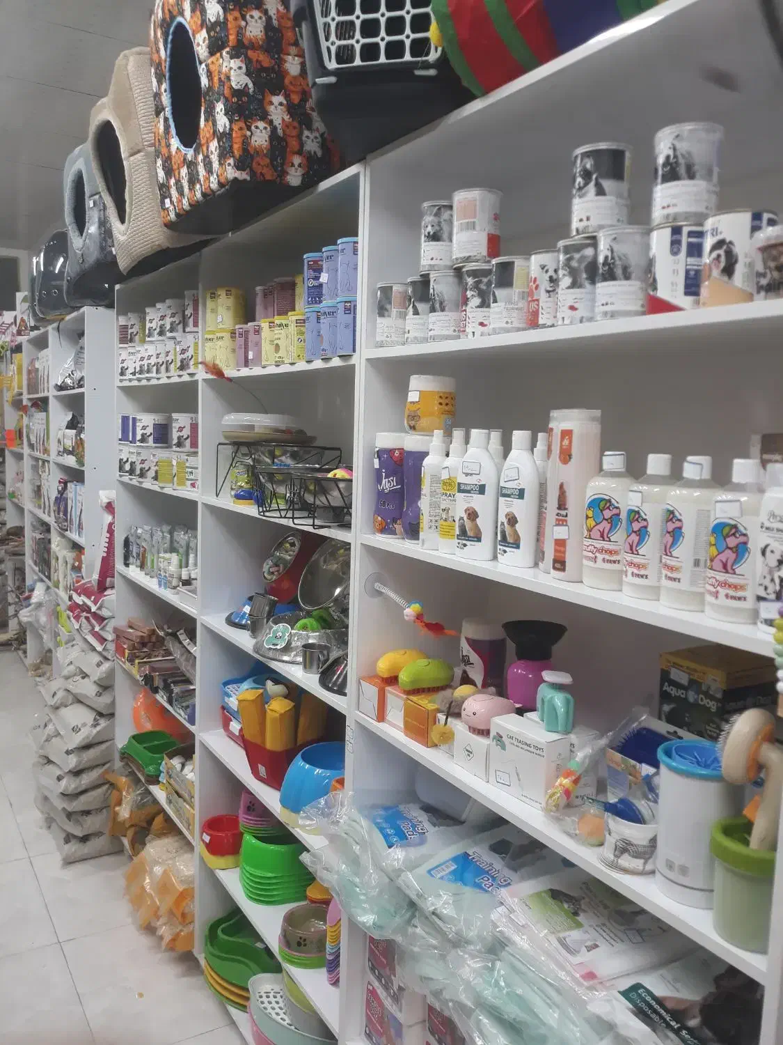 لوازم حیوانات خانگی|لوازم جانبی حیوانات|پاکدشت, پاکدشت (مامازند)|دیوار