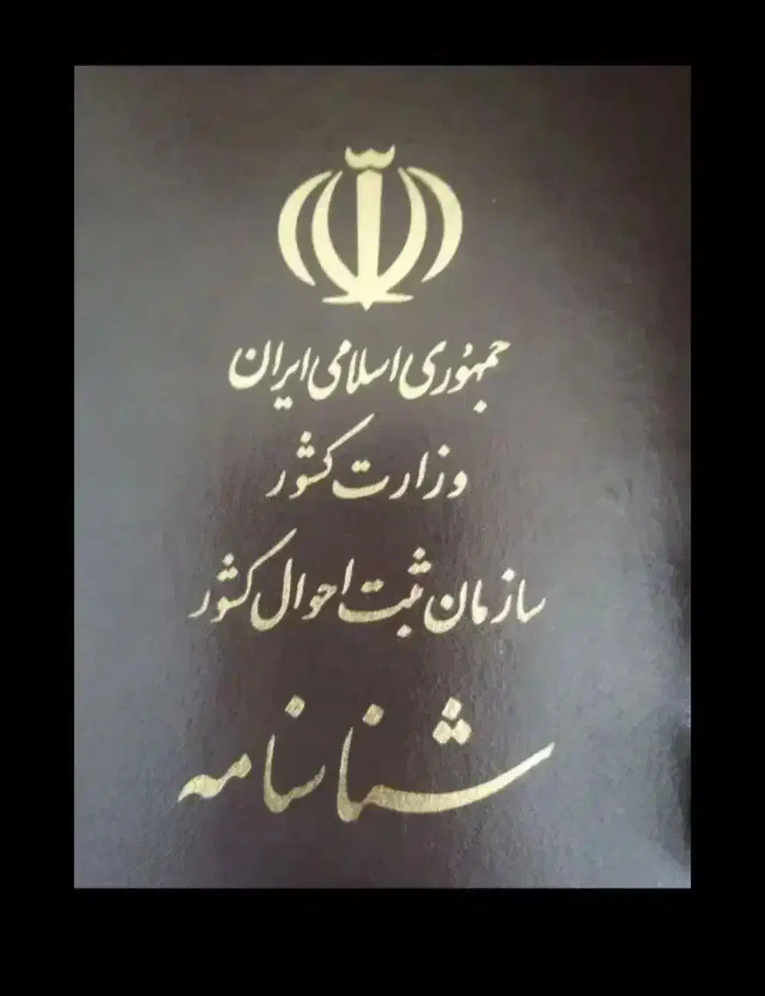 شناسنامه گم شده سیده فرخنده موسوی|اشیا|یاسوج, |دیوار