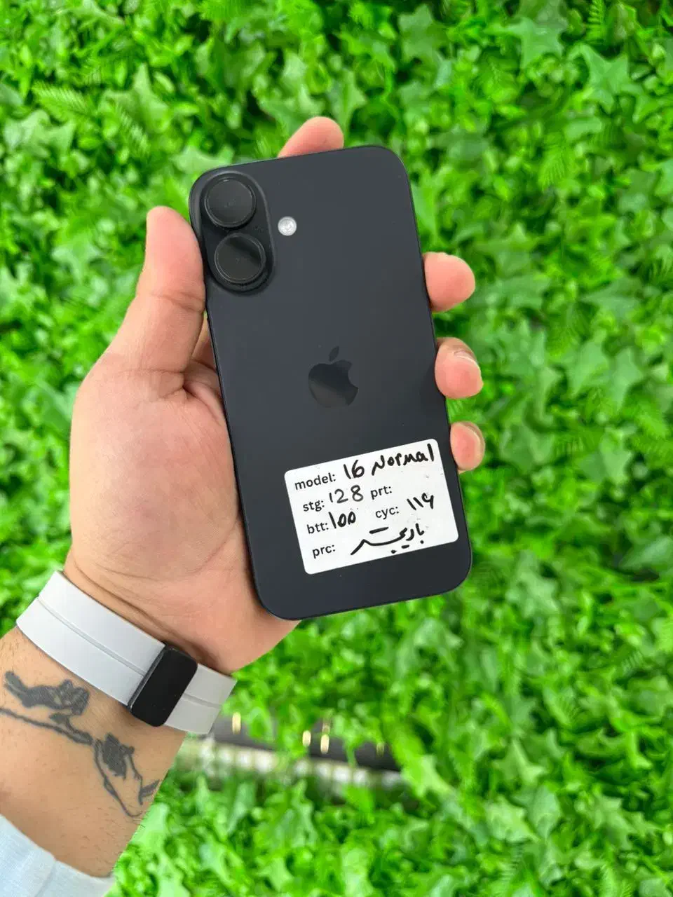 iphone 16|موبایل|شیراز, گلدشت معالیآباد|دیوار