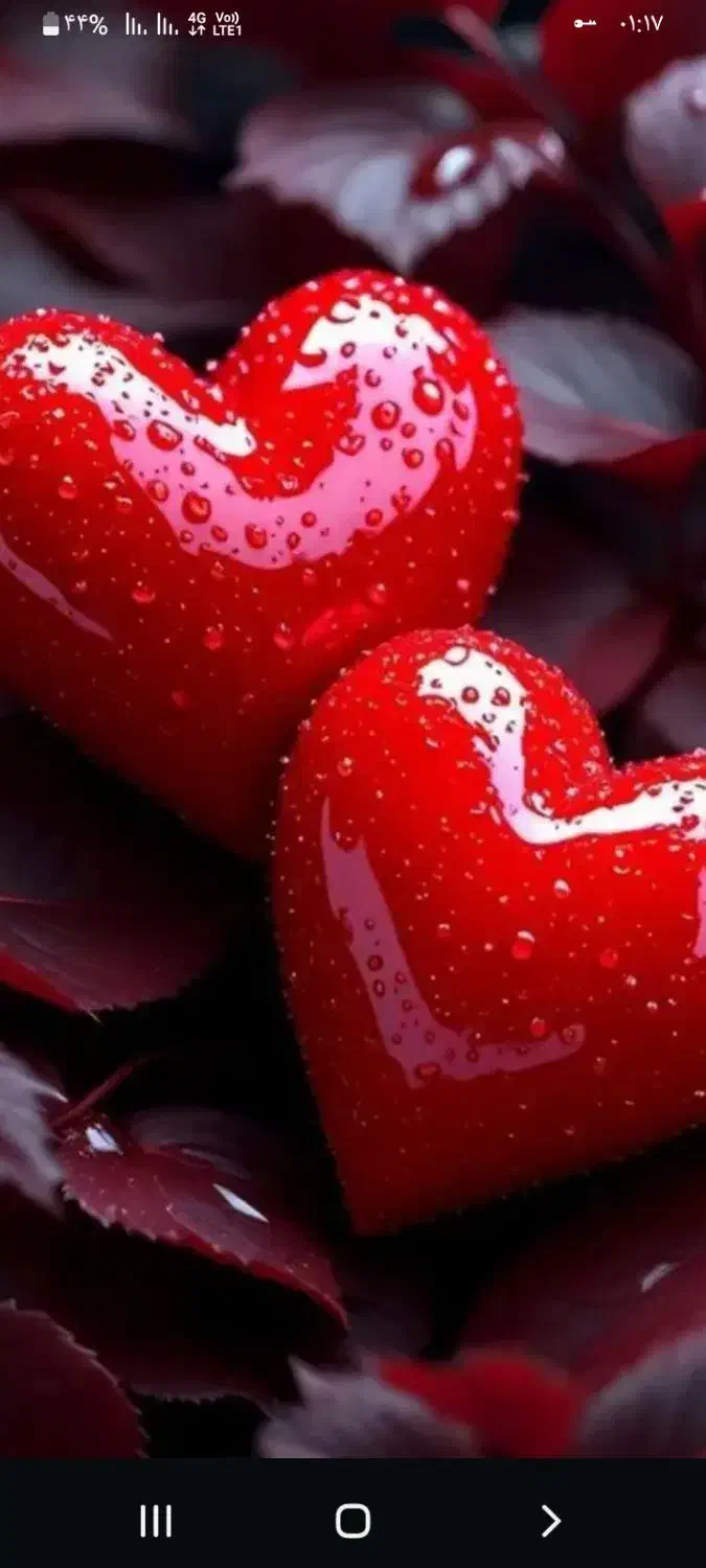 خدمات نظافت ساختمان و ویلا باغ.|خدمات نظافت|ارومیه, |دیوار