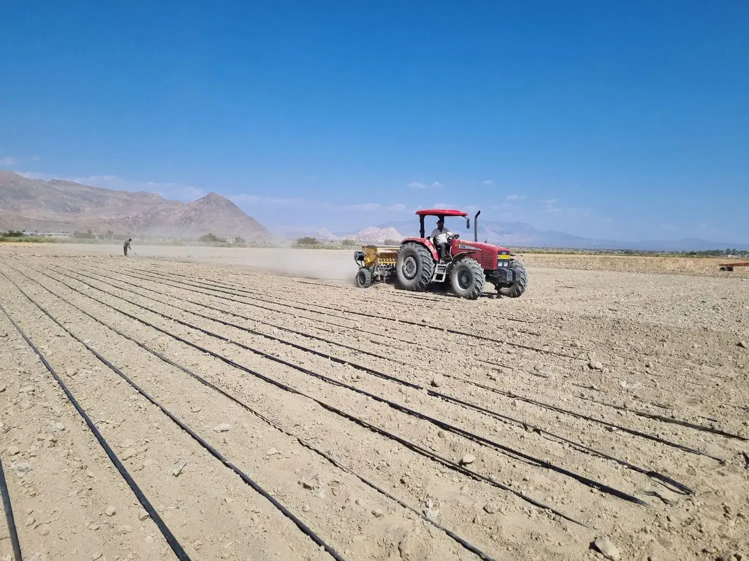 تراکتور ۴۱۲۰ مدل ۱۴۰۱|خودرو سنگین|ارزوئیه, |دیوار