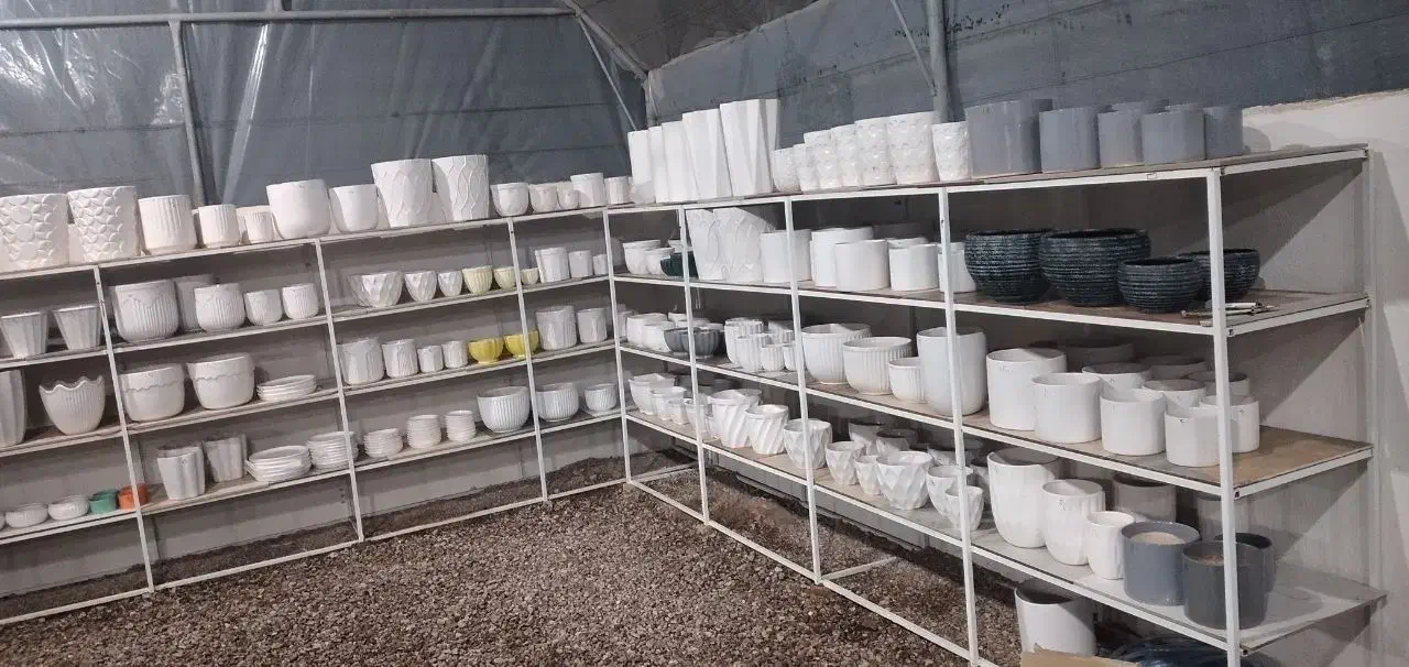 گل وگیاه آرکا نشتیفان فولاد پنجه|گل و گیاه طبیعی|خواف, |دیوار