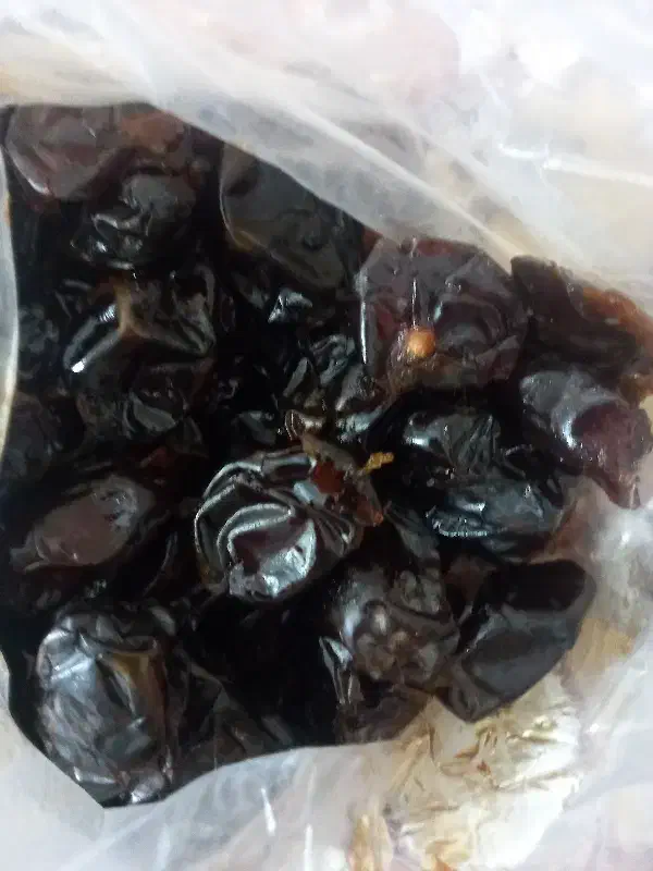 خرمای کبکاب|خوردنی و آشامیدنی|شبانکاره, |دیوار