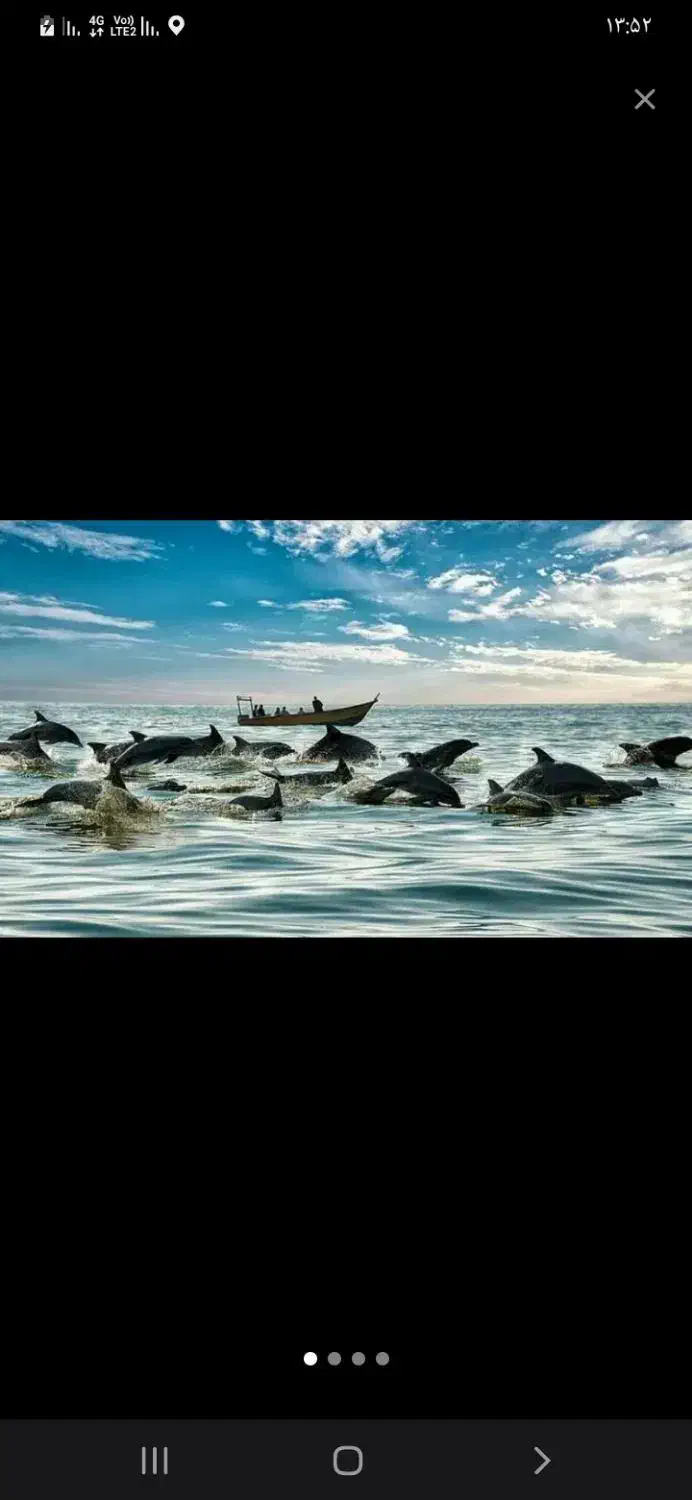 گشت جزیره قشم با راننده بومی|تور و چارتر|قشم, |دیوار