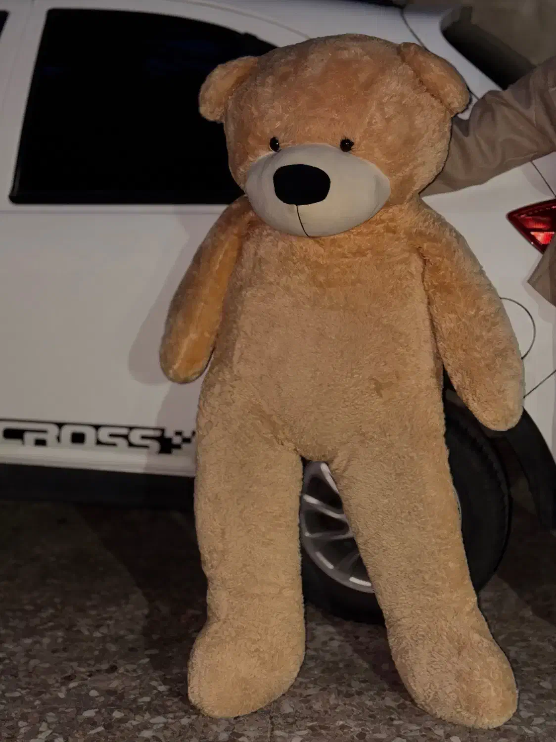 خرس ۱/۵ متری|اسباب‌‌بازی|رشت, منظریه|دیوار