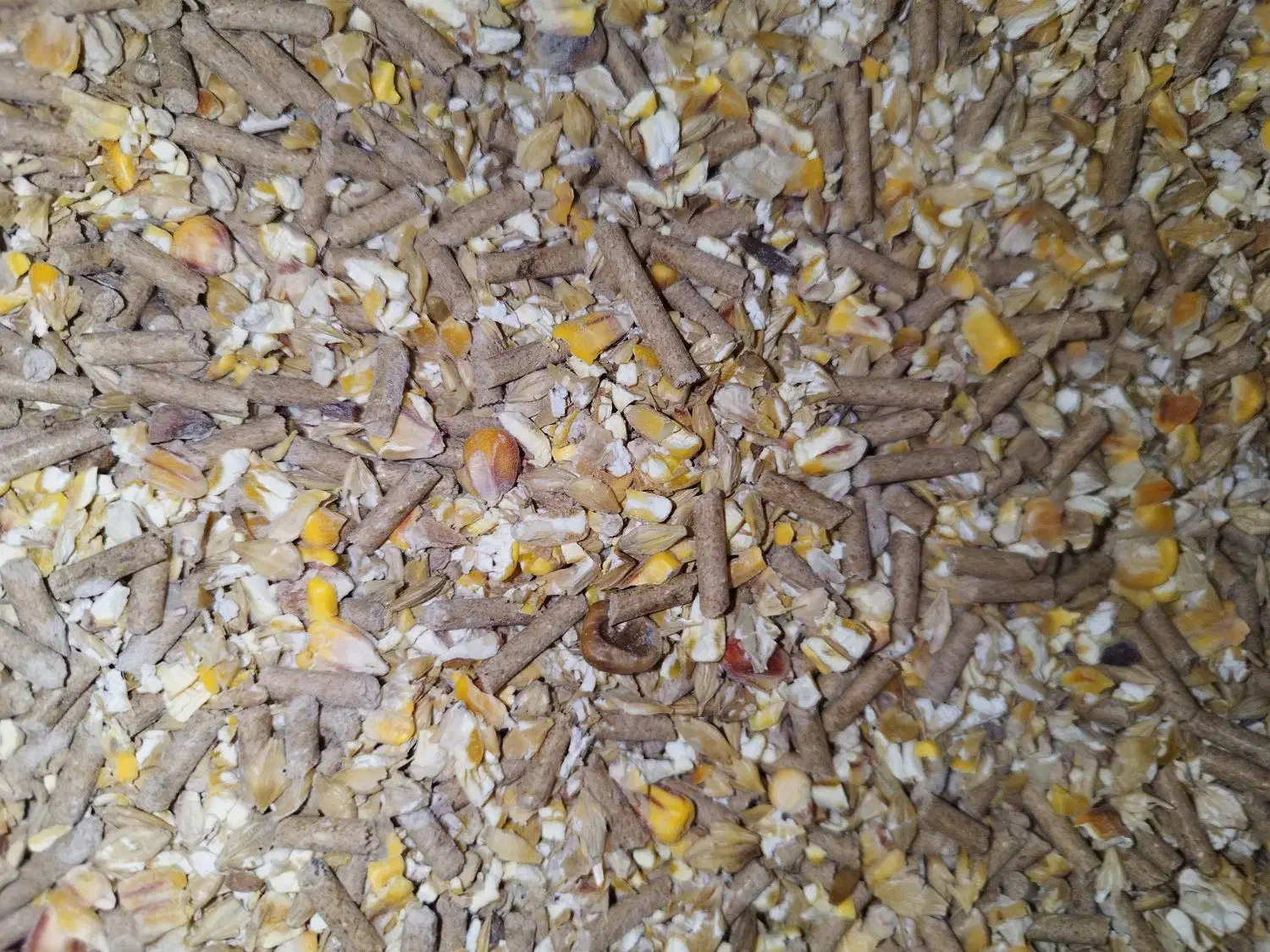 گاوگوسفندبره دان آجیلی بز|لوازم جانبی حیوانات|حمیل, |دیوار