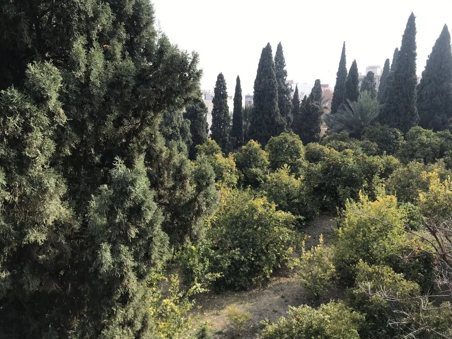 ویلایی 2 طبقه / شهرک پرواز|اجارهٔ خانه و ویلا|شیراز, شهرک پرواز|دیوار