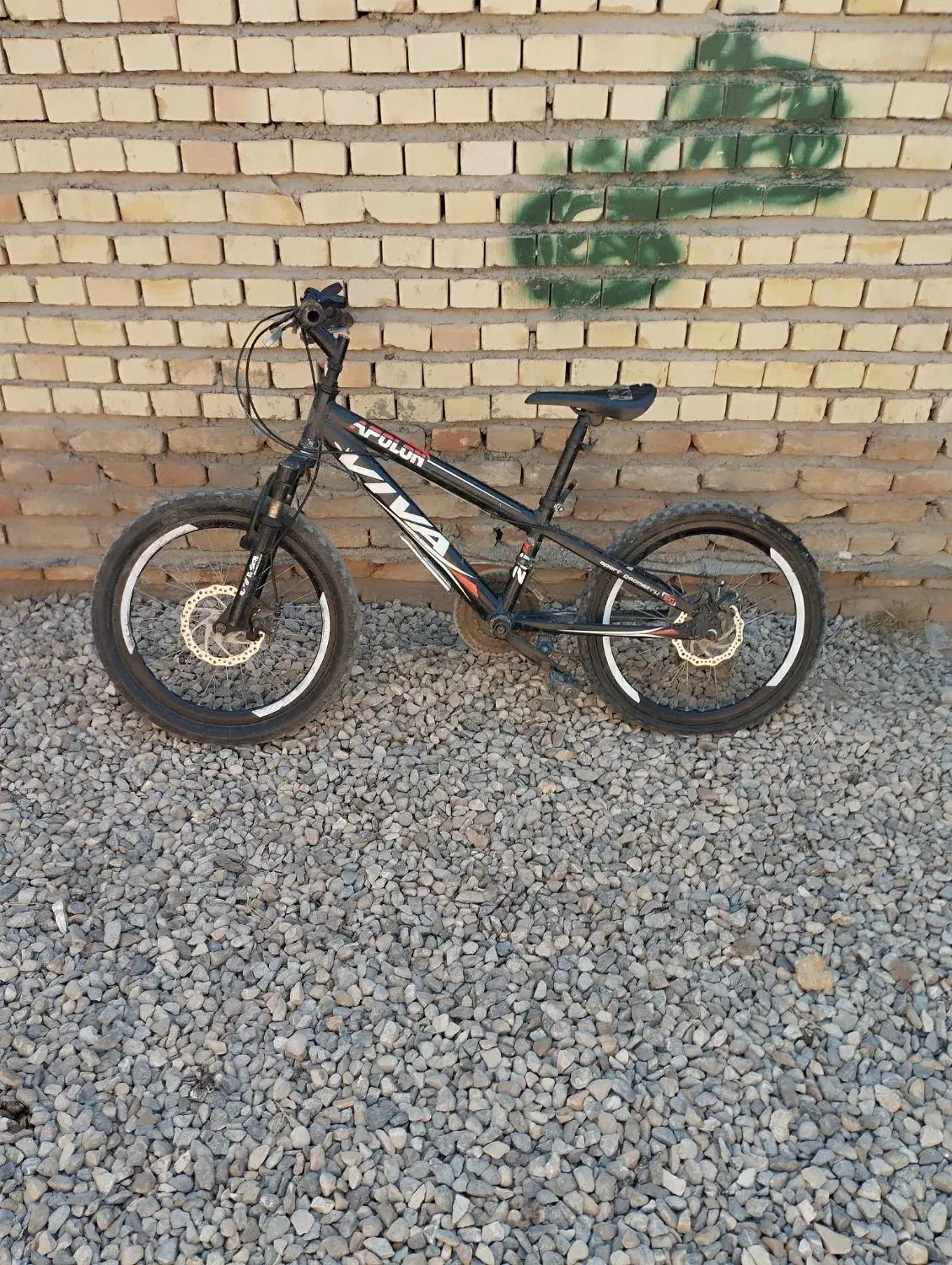 دوچرخه اصل ویوا|دوچرخه، اسکیت، اسکوتر|گنبد کاووس, |دیوار