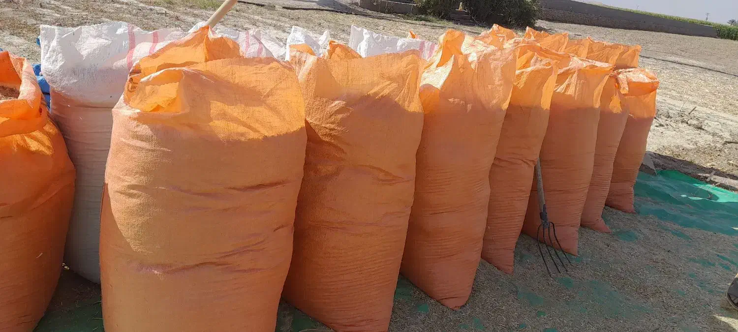 کاه ماشک و لوبیا|خدمات باغبانی و درختکاری|دهدشت, |دیوار