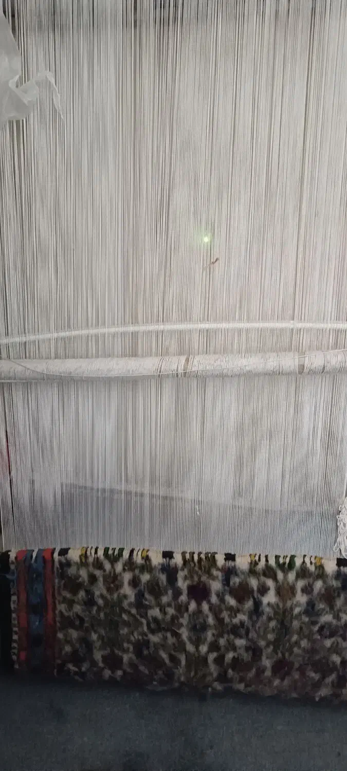 فرش|فرش|همدان, |دیوار