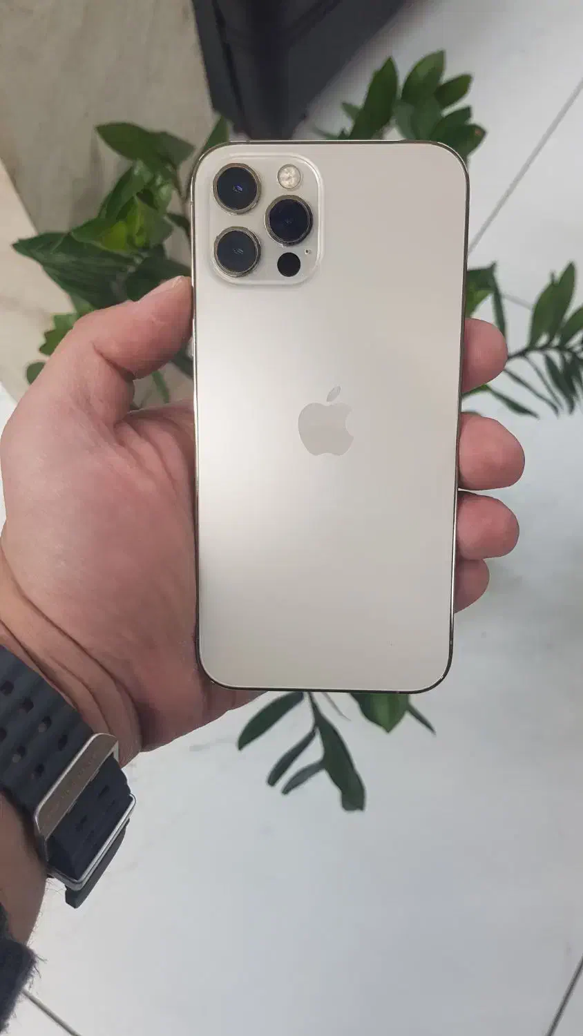 12pro|موبایل|اصفهان, شاهزید|دیوار