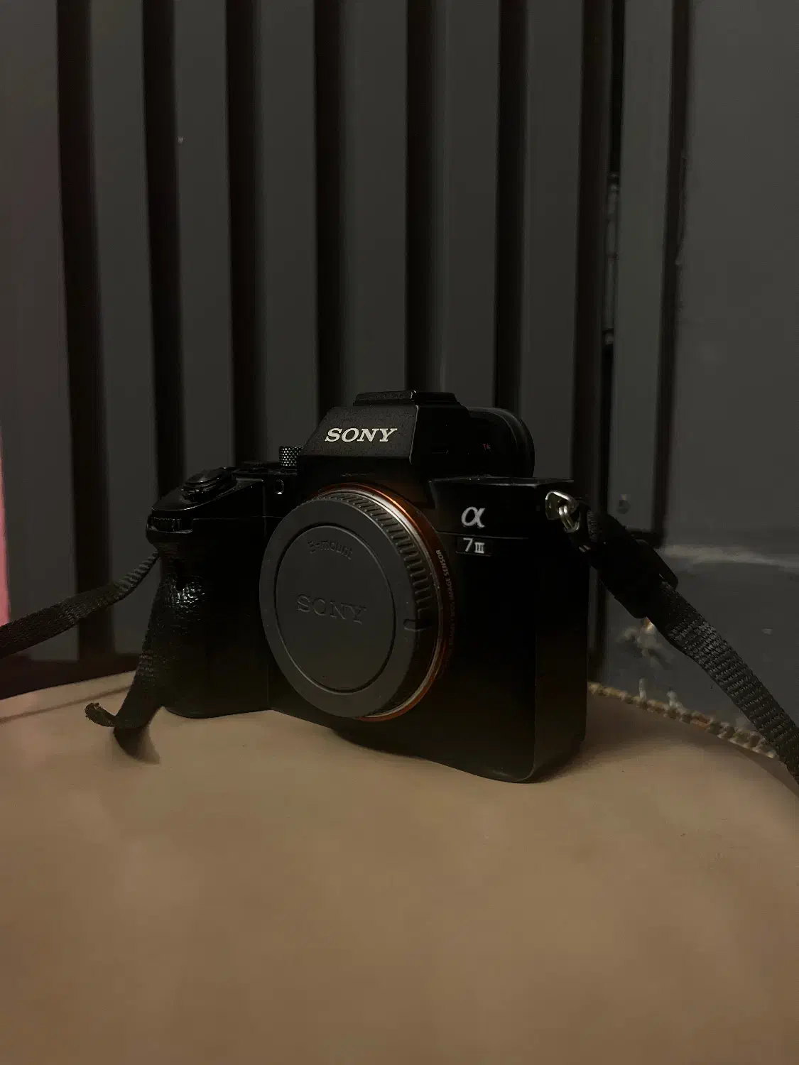 Sony alpha 7 iii|دوربین عکاسی و فیلم‌برداری|رشت, دیلمان|دیوار