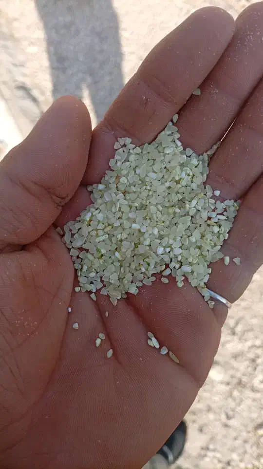 فروش برنج درجه یک کامفیروز|خوردنی و آشامیدنی|بندر گناوه, |دیوار