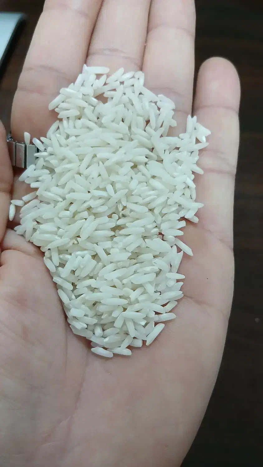 برنج هاشمی و نیمدانه هاشمی|خوردنی و آشامیدنی|رشت, پیرکلاچای|دیوار