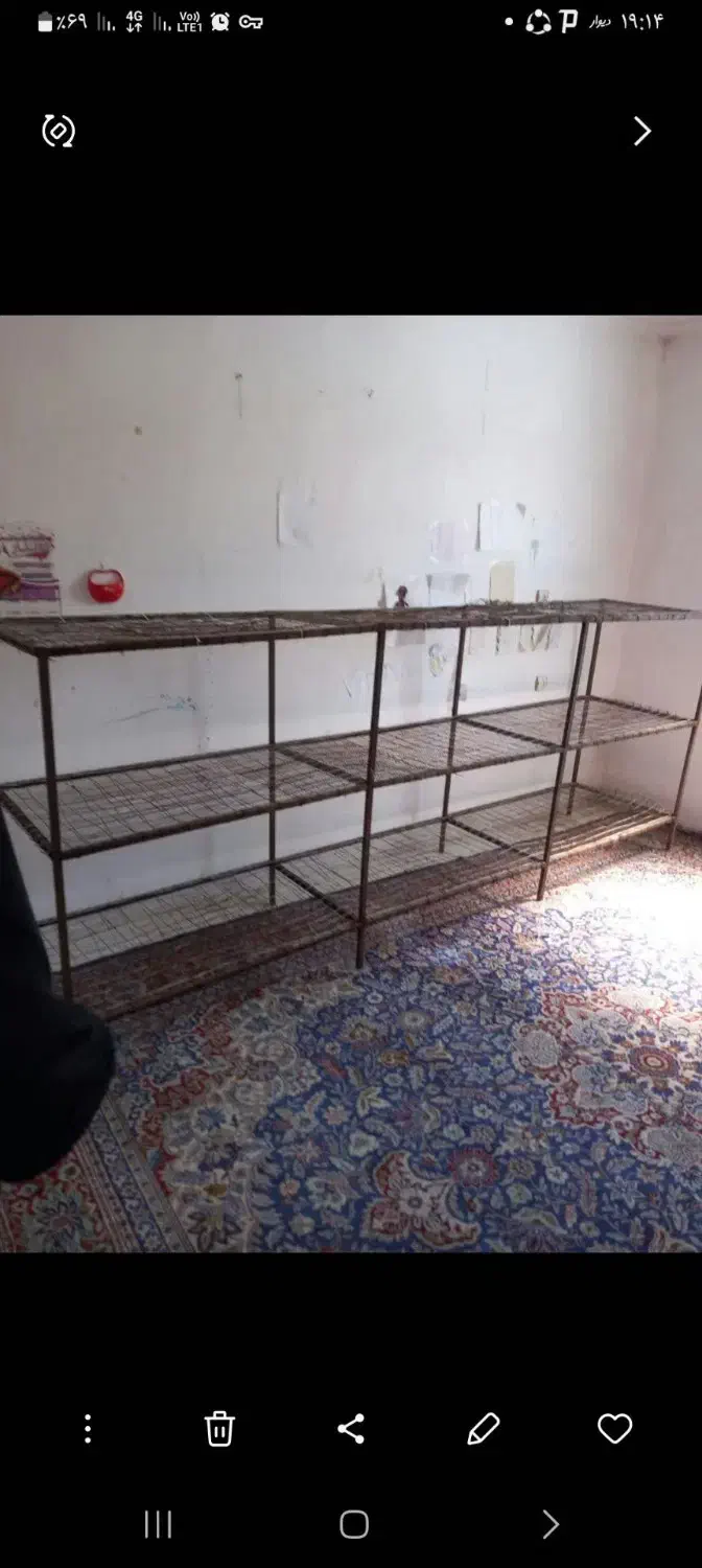 قفسه قارچ|کتابخانه، شلف، قفسه‌های دیواری|کردکوی, |دیوار