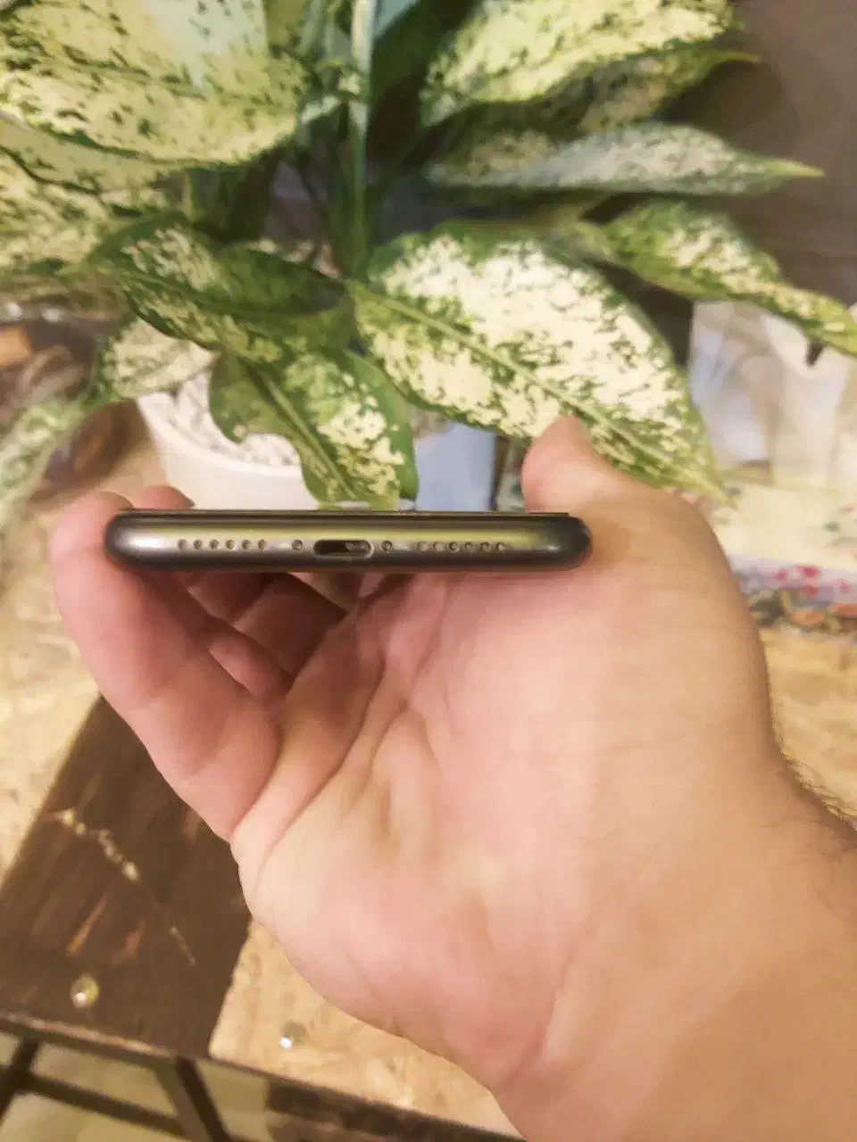 ایفون ۱۱|موبایل|مشهد, کوی سیدی|دیوار