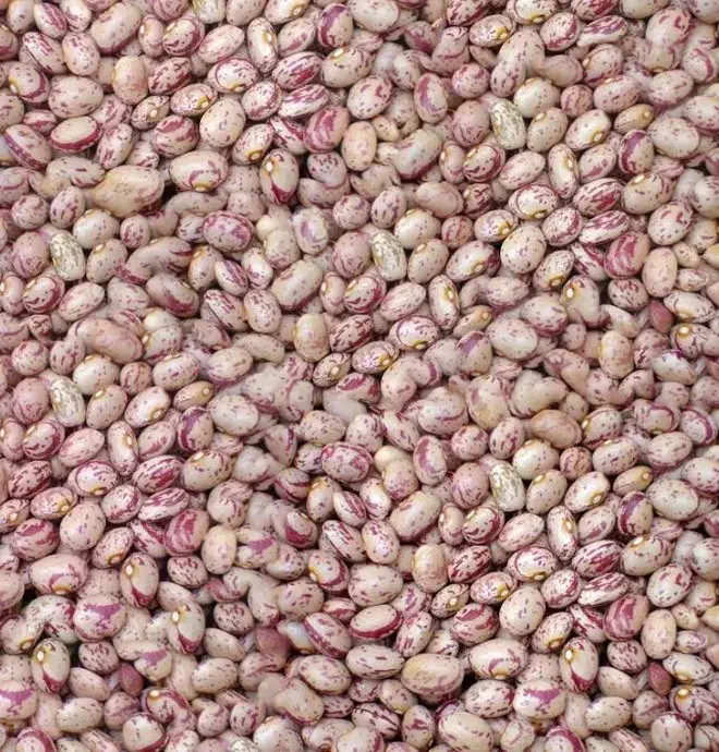 لوبیا چیتی|عمده‌فروشی|پاسارگاد, |دیوار