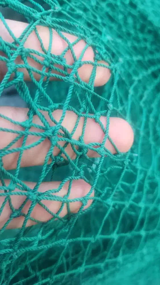 تورغلایه|ماهیگیری|بندرلنگه, |دیوار