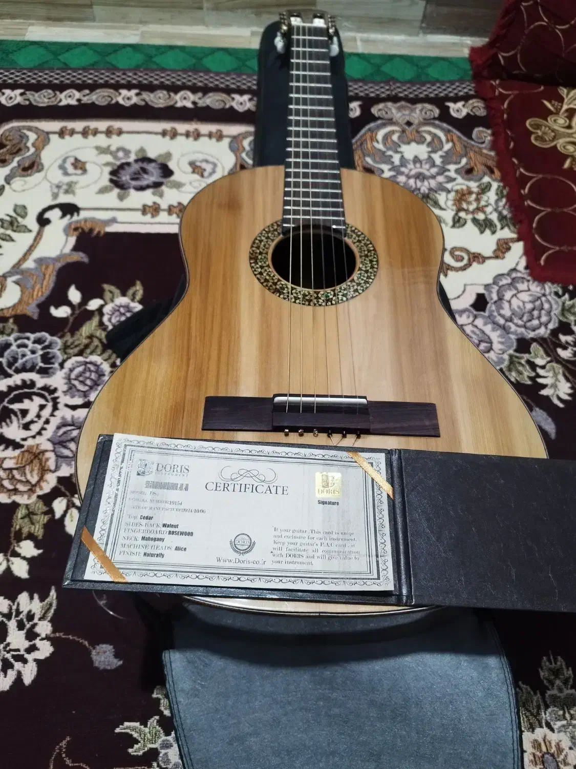 گیتار دست ساز Doris DS+|گیتار، بیس، امپلیفایر|میناب, |دیوار