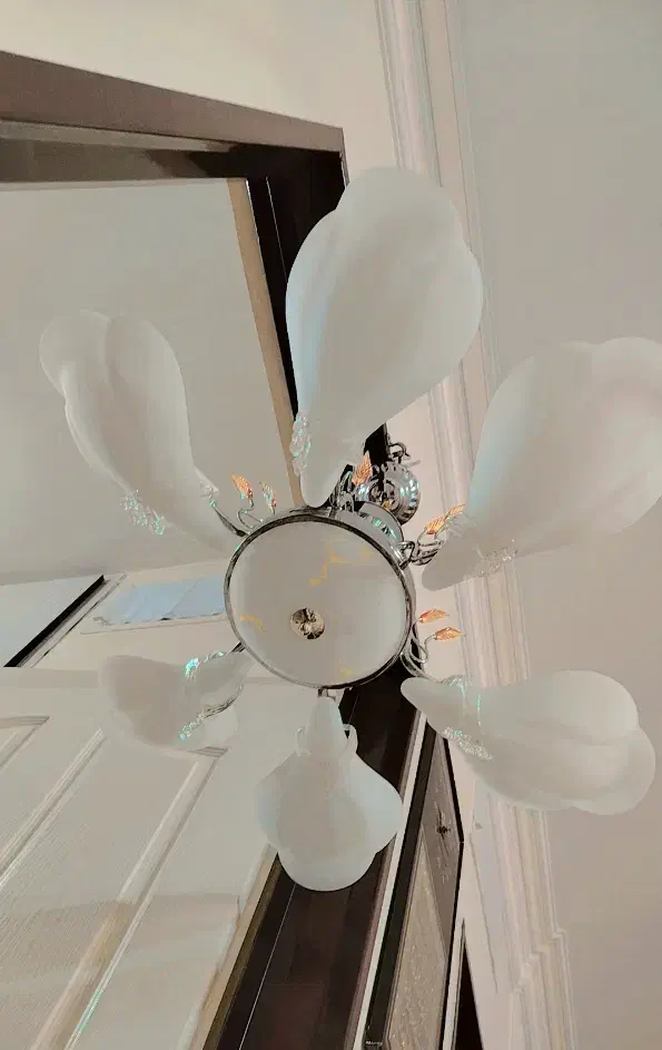 لوستر|لوستر و چراغ آویز|تربت‌حیدریه, پائین ولایت|دیوار