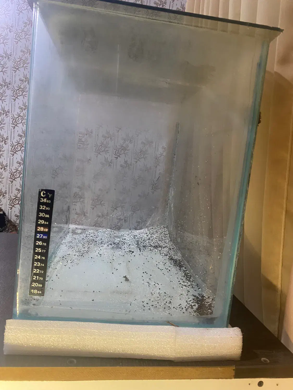 آکواریوم شیشه خم|ماهی|چالوس, |دیوار