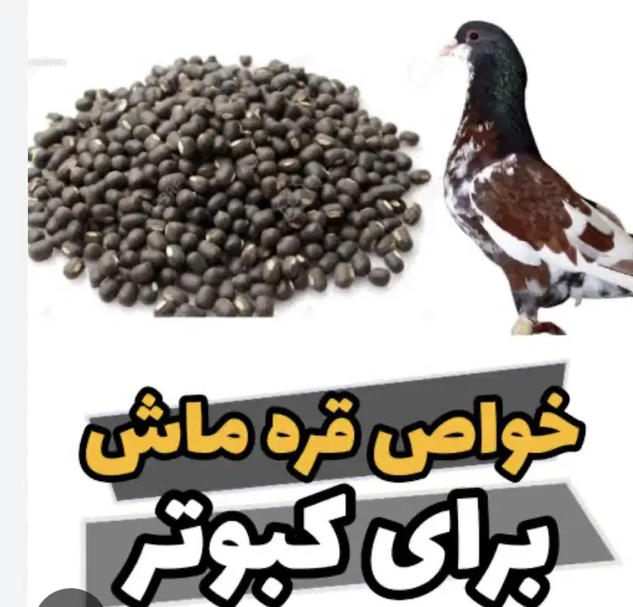 قرماش نهاوندی بار نو|لوازم جانبی حیوانات|تهران, هرندی|دیوار