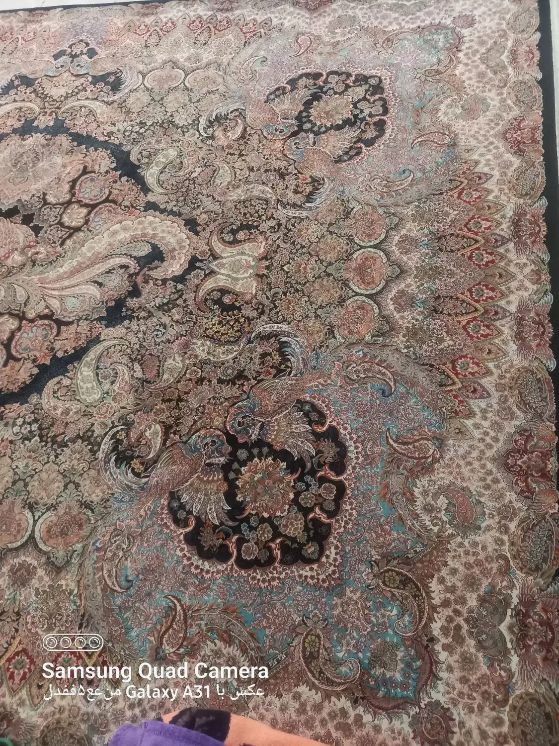 فروش فرش ۱۲متری/ ۴متری/ کناره ۵دریک / کناره ۳در۱|فرش|رباط‌کریم, رباط‌کریم|دیوار