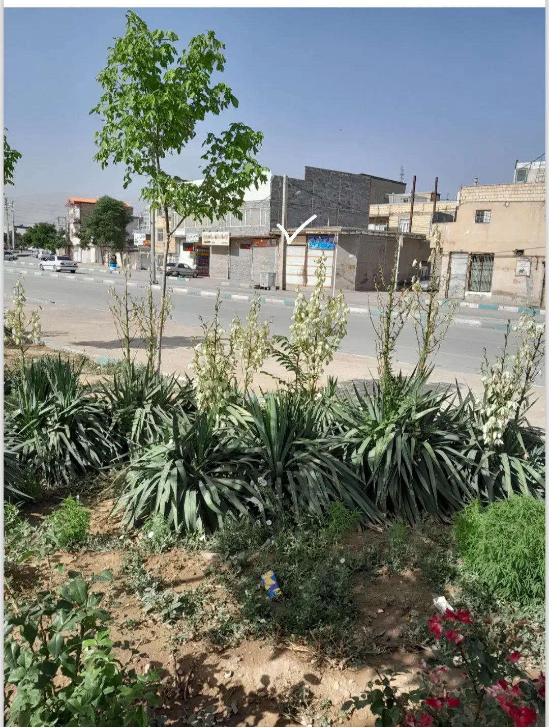 مغازه ، فروش یا معاوضه|فروش مغازه و غرفه|همدان, |دیوار