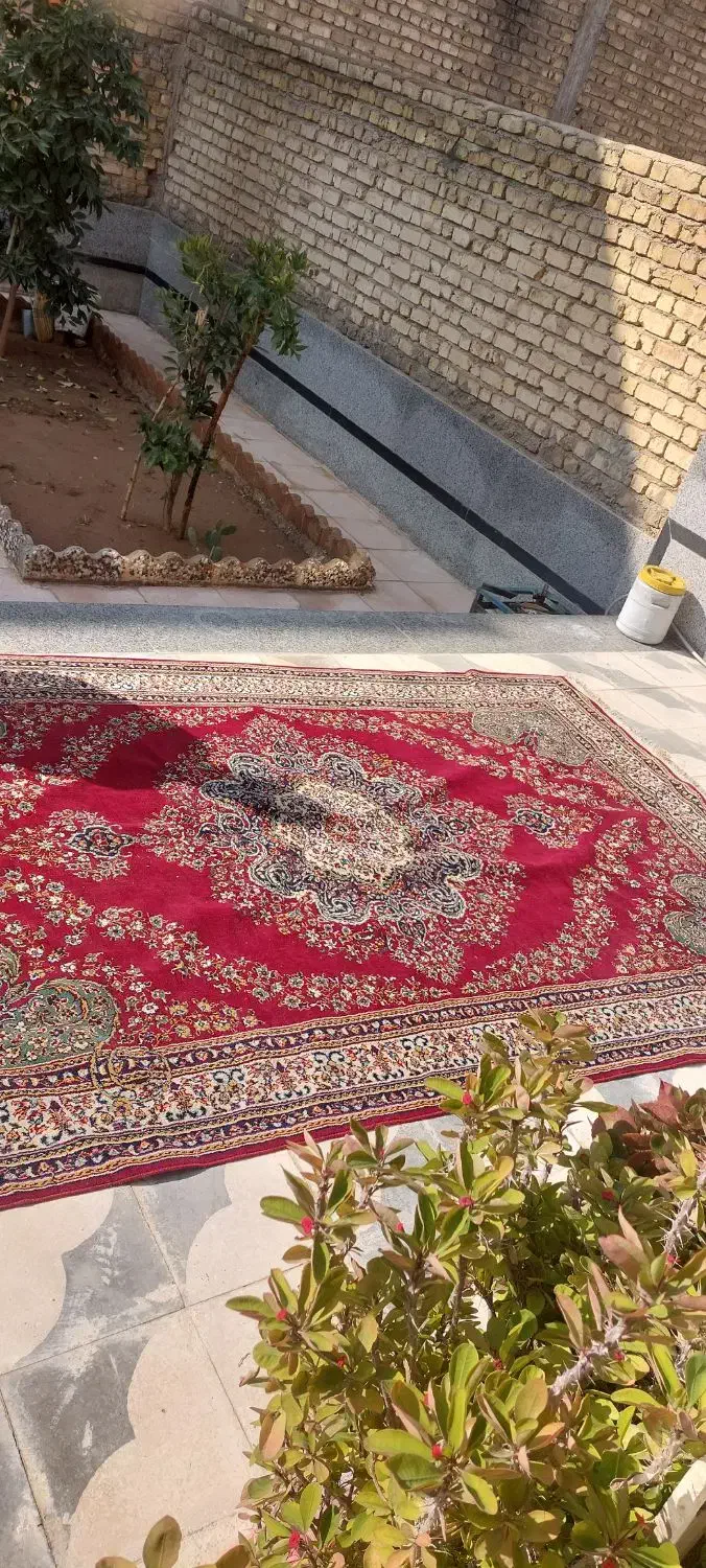 قالی|فرش|شیراز, شهرک مدرس|دیوار