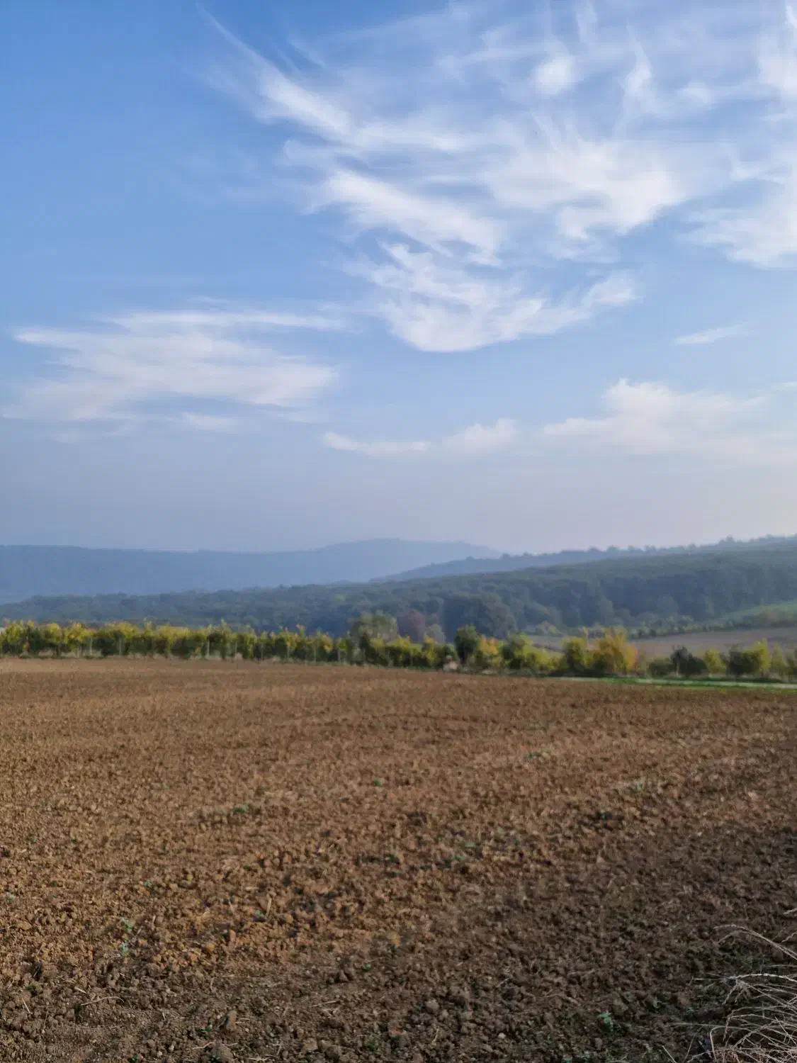 زمین ۱۰۰۰متری دوتا پلاک ویو ۳۶۰درجه|فروش زمین و ملک کلنگی|نکا, |دیوار