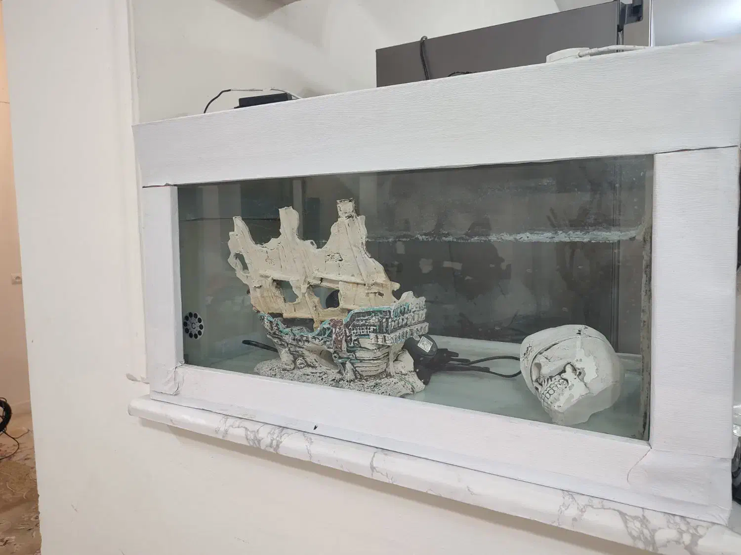 آکواریوم و تجهیزات|ماهی|بندرعباس, |دیوار