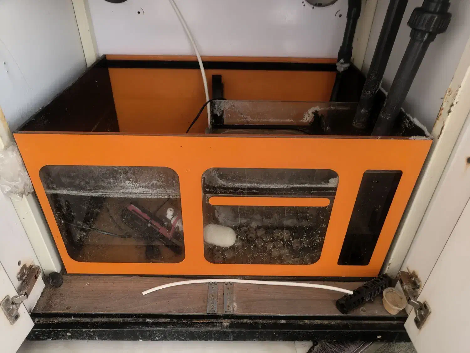 آکواریوم آب شور|ماهی|تهران, افسریه شمالی|دیوار