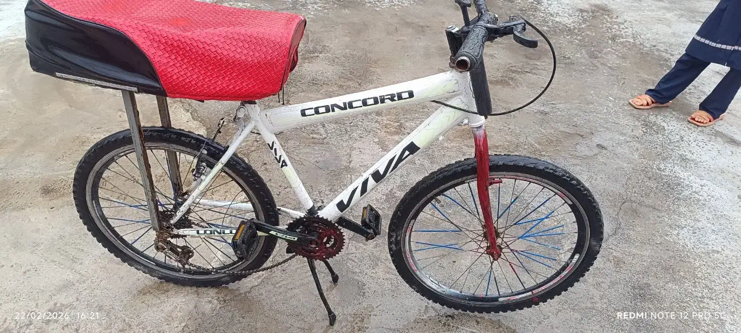 دوچرخه|دوچرخه، اسکیت، اسکوتر|خان ببین, |دیوار