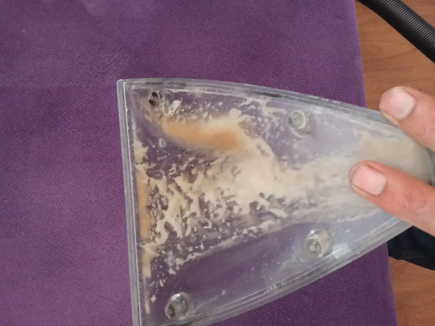 مبل شویی پاکیزه|خدمات نظافت|رامسر, |دیوار