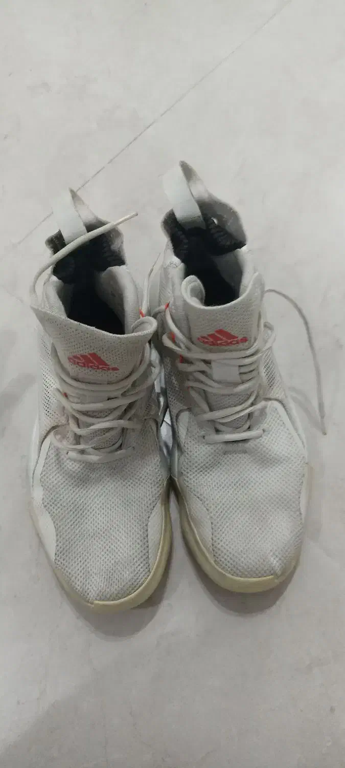 کفش والیبال adidasدرحد نو|کیف، کفش، کمربند|مشهد, کارمندان دوم|دیوار